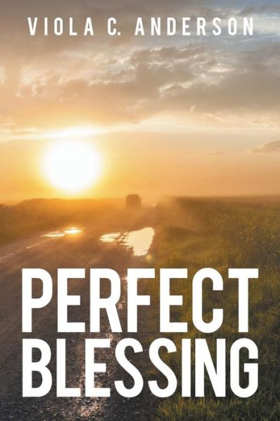 Perfect Blessing - Viola C. Anderson - Books - ArchwayPublishing - 9781480809659 - July 31, 2014