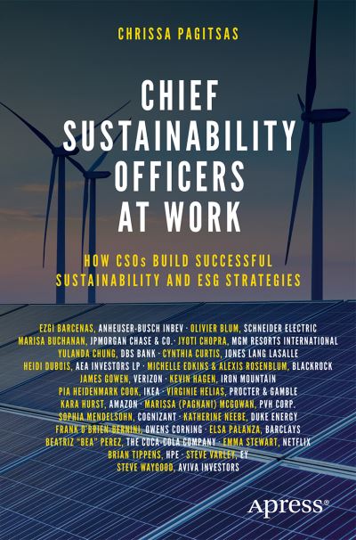 Cover for Chrissa Pagitsas · Chief Sustainability Officers At Work: How CSOs Build Successful Sustainability and ESG Strategies (Paperback Book) [1st edition] (2022)