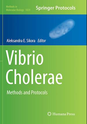 Cover for Vibrio Cholerae (Book) [Softcover reprint of the original 1st ed. 2018 edition] (2019)