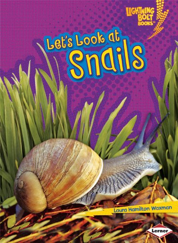 Cover for Laura Hamilton Waxman · Let's Look at Snails (Lightning Bolt Books: Animal Close-ups) (Pocketbok) (2009)