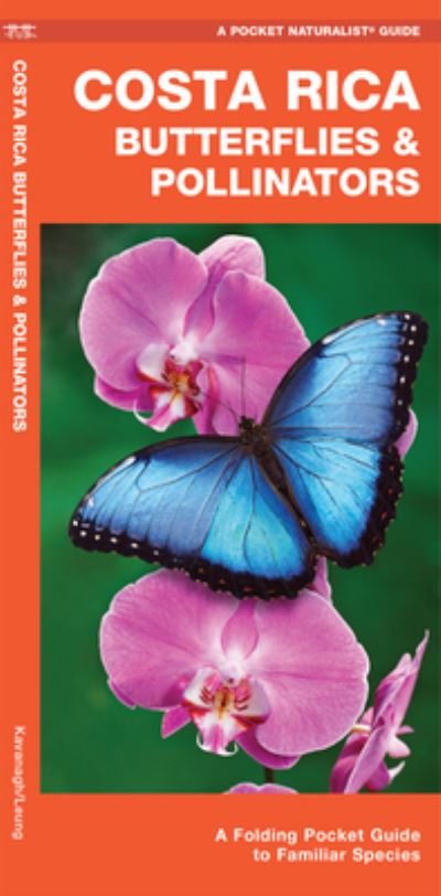 Cover for James Kavanagh · Costa Rica Butterflies &amp; Pollinators (Paperback Book) (2020)