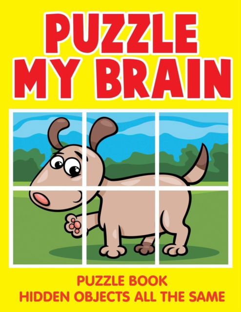 Cover for Jupiter Kids · Puzzle My Brain: Puzzle Book Hidden Objects All The Same (Paperback Book) (2015)