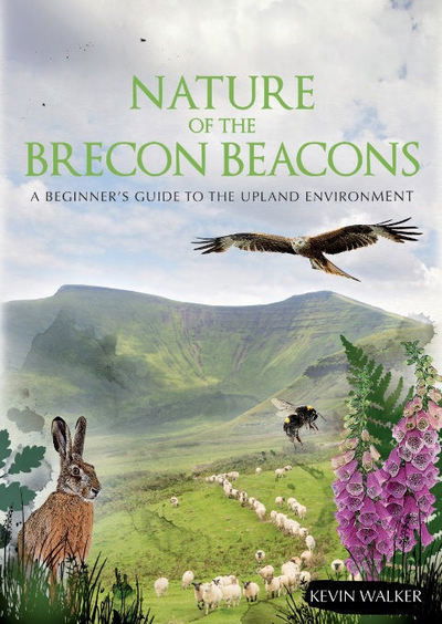 Cover for Kevin Walker · Nature of the Brecon Beacons: A Beginners Guide to the Upland Environment (Paperback Book) (2019)