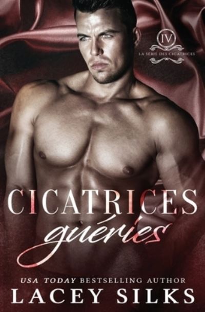 Cover for Lacey Silks · Cicatrices gueries (Paperback Book) (2017)