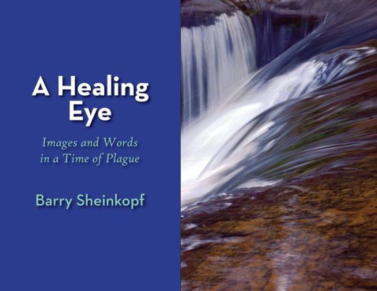 Cover for Barry Sheinkopf · A Healing Eye: Images and Words in a Time of Plague (Taschenbuch) (2020)