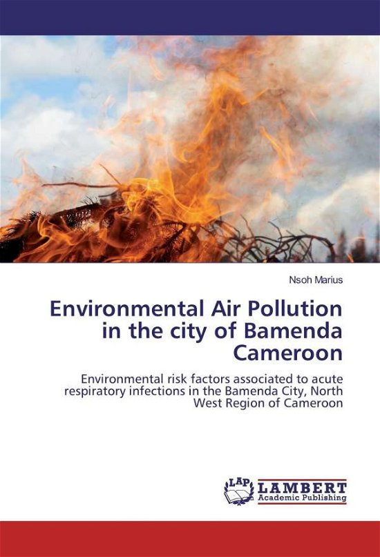 Cover for Marius · Environmental Air Pollution in t (Book)