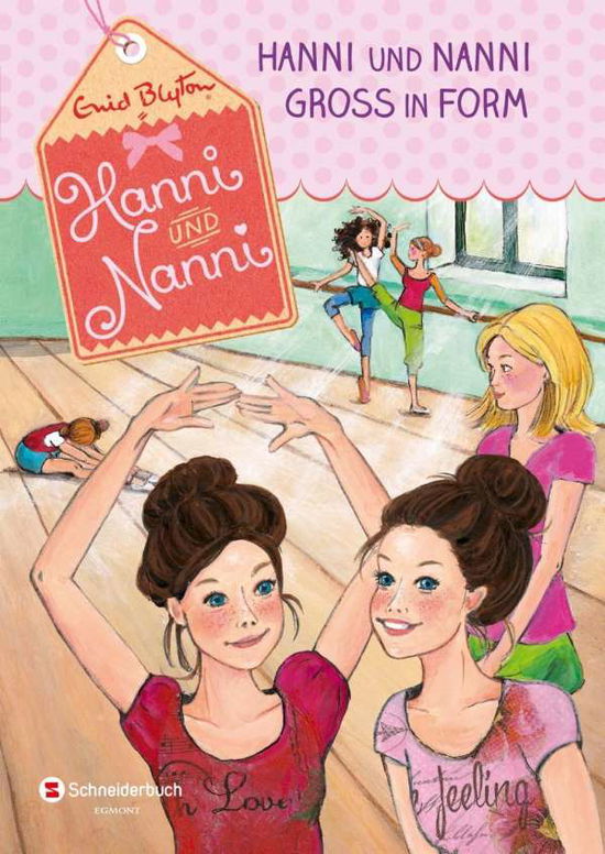 Cover for Blyton · Hanni und Nanni groß in Form (Book)