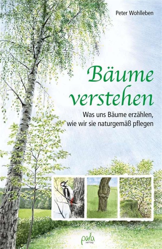 Bäume verstehen - Wohlleben - Livros -  - 9783895663659 - 