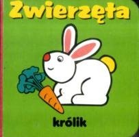 Cover for Zwierzta Kostka Fk (Paperback Book) (2016)