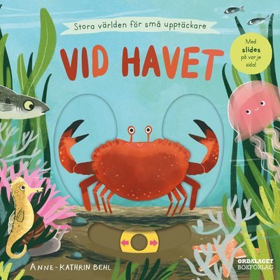 Cover for Anne-Kathrin Behl · Vid havet (Board book) (2022)