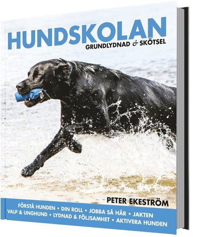 Hundskolan : grundlydnad & skötsel - Peter Ekeström - Books - Bokförlaget Settern - 9789175866659 - March 9, 2018