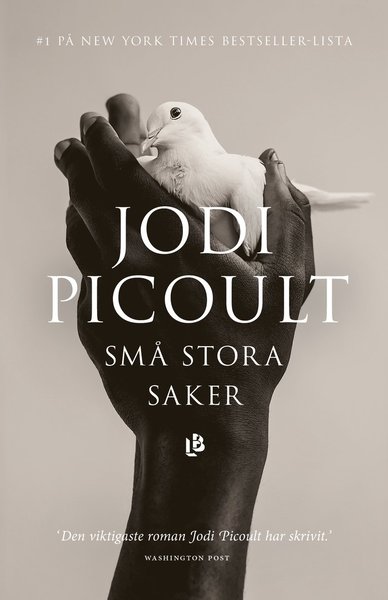 Små stora saker - Jodi Picoult - Böcker - Louise Bäckelin Förlag - 9789177990659 - 8 januari 2019