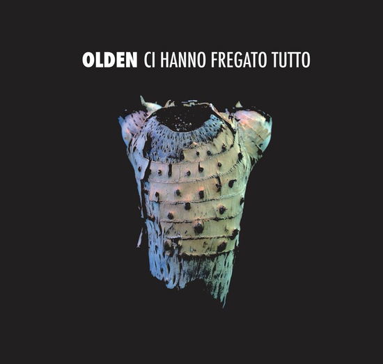 Cover for Olden · Ci Hanno Fregato Tutto (CD)