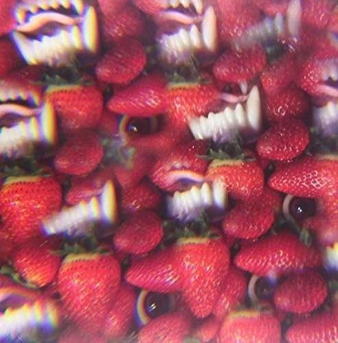 Floating Coffin - Thee Oh Sees - Music - CASTLE FACE - 0819162014660 - July 11, 2013