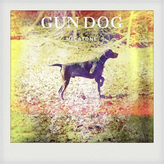 Cover for Micatone · Gun Dog (LP) (2012)