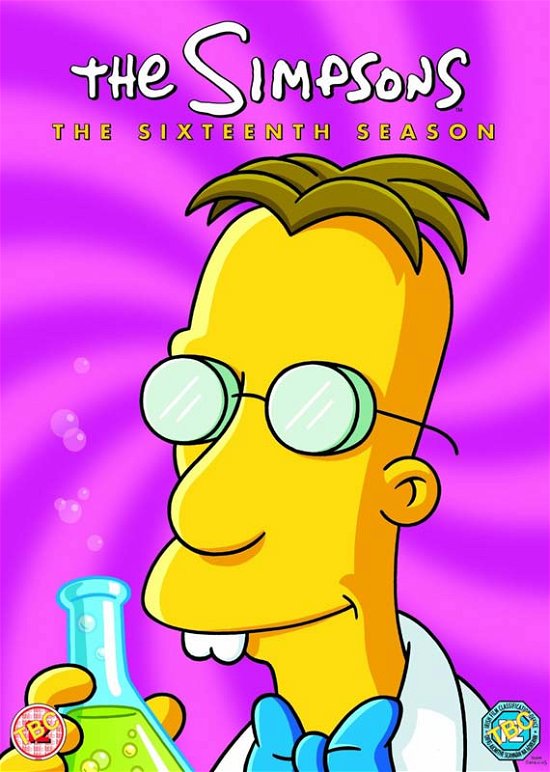 The Simpsons Season 16 Dvd - Dan Castellaneta Julie Kavner - Films - 20th Century Fox - 5039036060660 - 2 décembre 2013