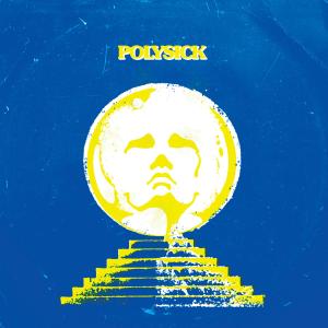 Cover for Polysick · Digital Native (VINYL) (2013)