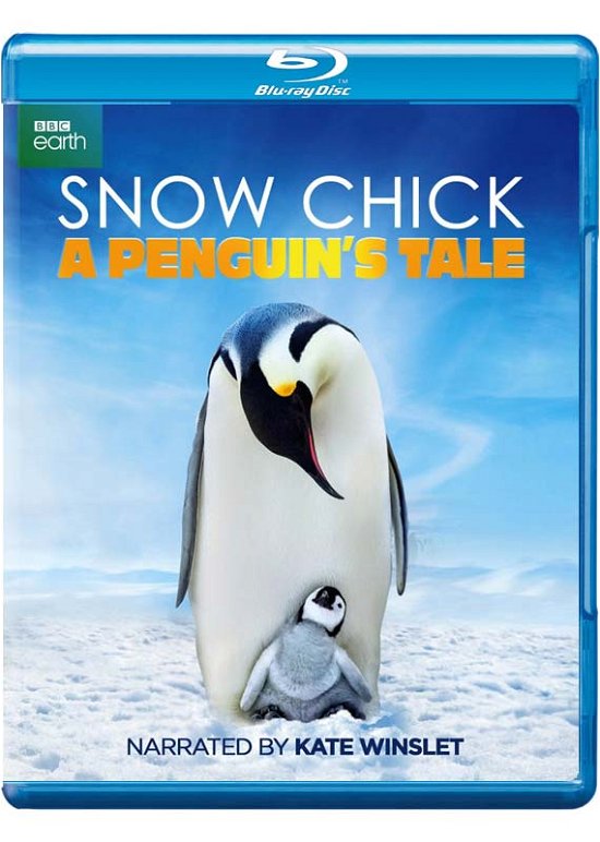 Cover for Snow Chick a Penguins Tale Bluray · Snow Chick A Penguins Tale (Blu-ray) (2016)