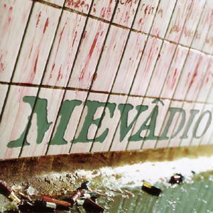 Hands Down - Mevadio - Musik - MIGHTY MUSIC / SPV - 6663103197660 - 5 maj 2008