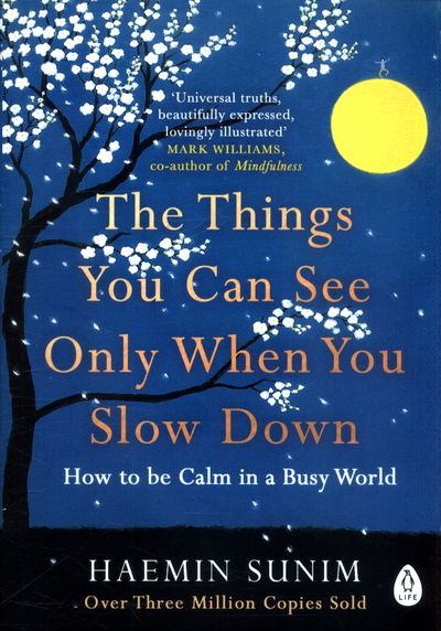 Cover for Haemin Sunim · The Things You Can See Only When You Slow Down: How to be Calm in a Busy World (Pocketbok) (2018)