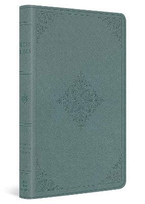 ESV Value Thinline Bible (Leather Book) (2024)