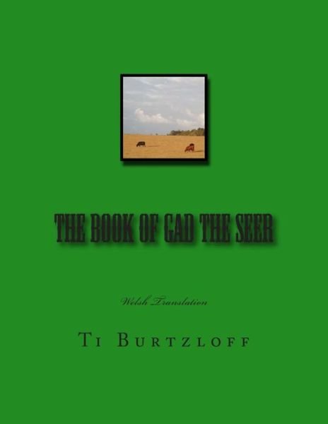 Cover for Ti Burtzloff · The Book of Gad the Seer: Welsh Translation (Paperback Bog) (2015)