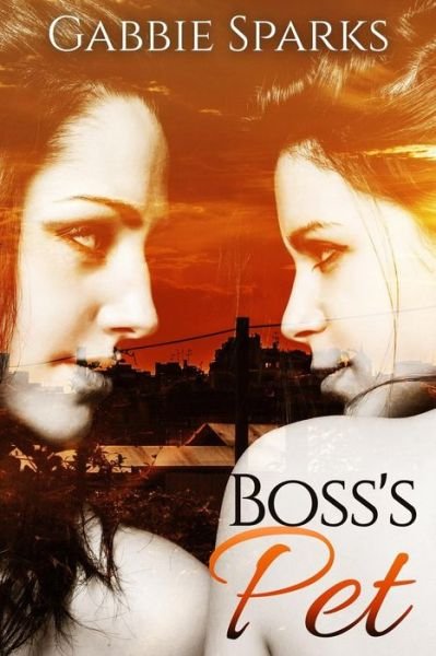 Cover for Gabbie Sparks · Boss's Pet: Sexy Billionaire Boss Takes a Liking to One of Her Young Hot Female Employees (Paperback Book) (2015)