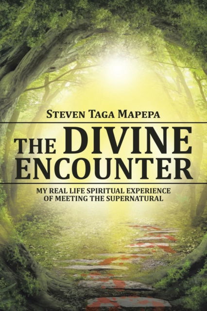 Cover for Steven Taga Mapepa · The Divine Encounter (Paperback Book) (2016)