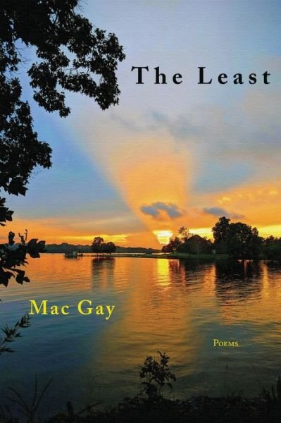 Cover for Mac Gay · Least (Book) (2022)