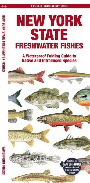 Cover for Morris, Matthew, Waterford Press · New York State Freshwater Fishes: A Folding Guide to Native and Introduced Species - Pocket Naturalist Guides (Pamphlet) (2024)