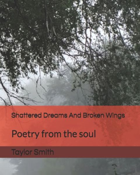 Cover for Taylor Smith · Shattered Dreams And Broken Wings (Taschenbuch) (2019)