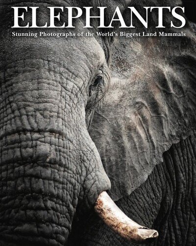 Cover for Tom Jackson · Elephants: Stunning Photographs of the World's Biggest Land Mammals - Animals (Innbunden bok) (2020)