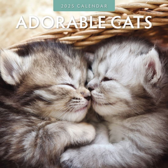 Cover for Red Robin Publishing · Adorable Cats 2025 Square Wall Calendar (Taschenbuch) (2024)