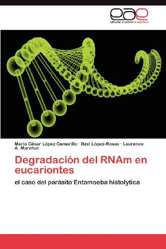 Cover for Laurence A. Marchat · Degradación Del Rnam en Eucariontes: El Caso Del Parásito Entamoeba Histolytica (Paperback Book) [Spanish edition] (2012)