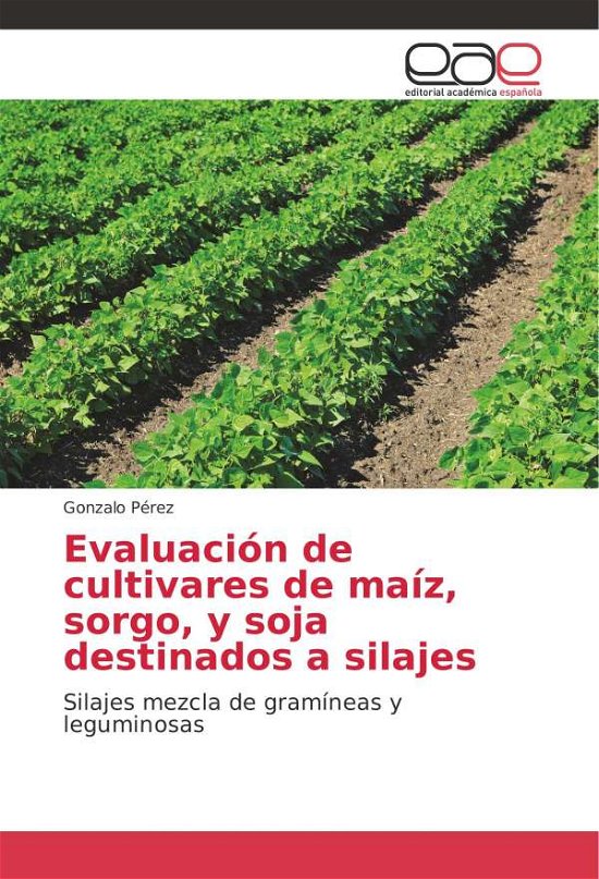 Evaluación de cultivares de maíz, - Pérez - Bücher -  - 9783659074660 - 21. Juni 2013
