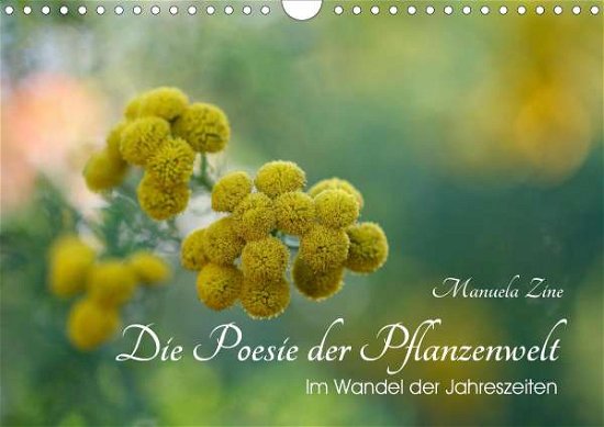 Die Poesie der Pflanzenwelt - Im W - Zine - Books -  - 9783671388660 - 