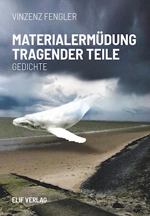 Cover for Vinzenz Fengler · Materialermüdung tragender Teile (Book) (2023)