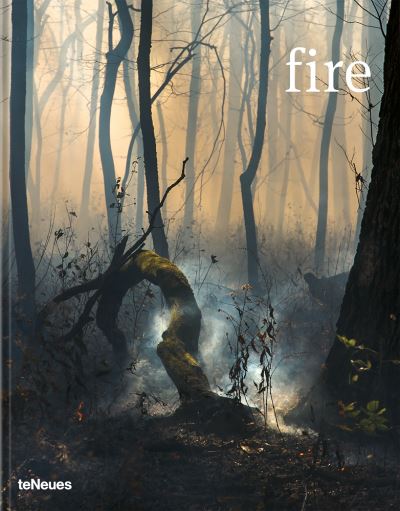 Cover for Prix Pictet · Fire - Prix Pictet (Hardcover Book) (2021)