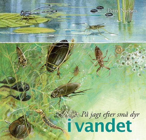Cover for Peter Nielsen · På jagt efter: På jagt efter små dyr  - i vandet (Innbunden bok) [1. utgave] (2008)
