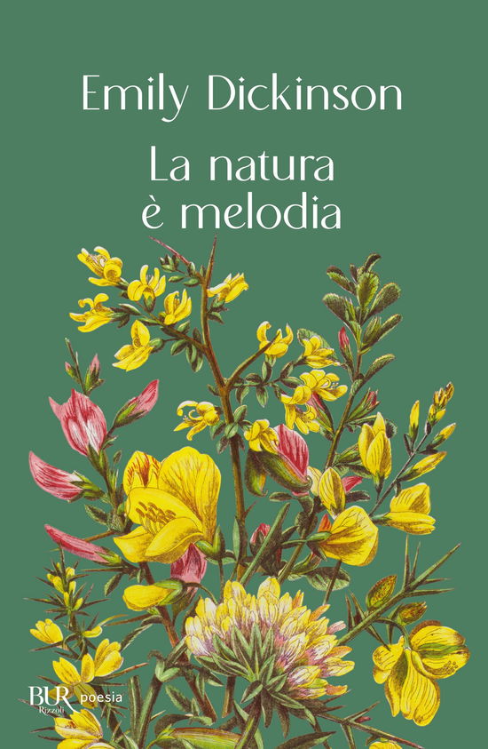 Cover for Emily Dickinson · La Natura E Melodia (Book)