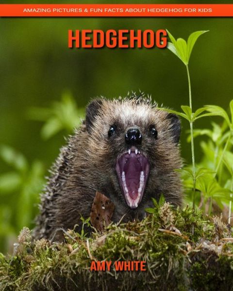 Cover for Amy White · Hedgehog (Paperback Book) (2020)