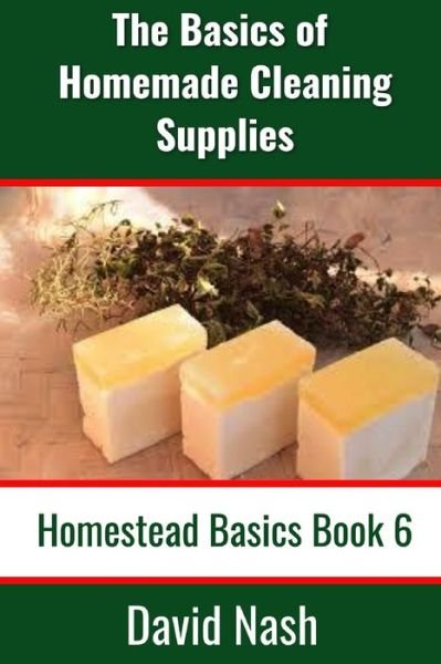 Cover for David Nash · The Basics of Homemade Cleaning Supplies (Pocketbok) (2020)