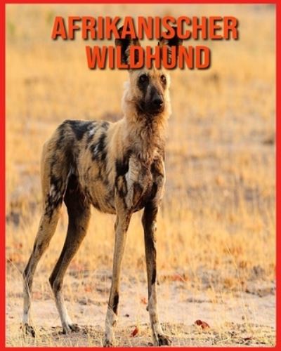 Cover for Linda Davis · Afrikanischer Wildhund (Paperback Book) (2021)