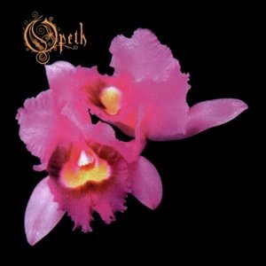 Cover for Opeth · Orchid (LP) [Limited Colored edition] (2016)