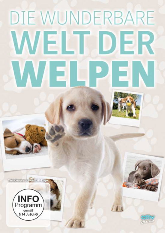Cover for Greg Grainger · Die Wunderbare Welt Der Welpen (DVD) (2019)