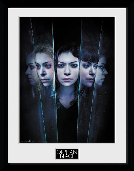 Cover for Orphan Black · Orphan Black - Faces (Stampa In Cornice 30x40 Cm) (MERCH)