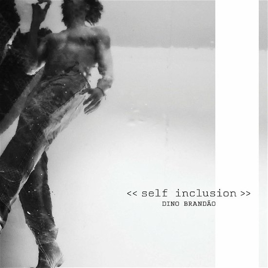 Cover for Dino Brandao · Self-Inclusion (CD) (2024)