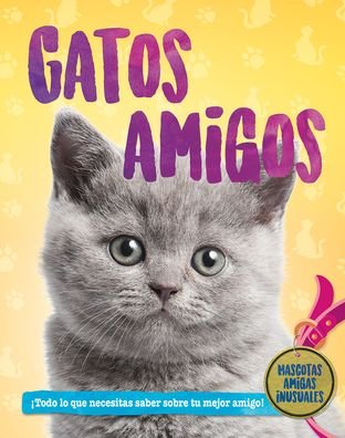 Cover for Pat Jacobs · Gatos Amigos (Book) (2020)