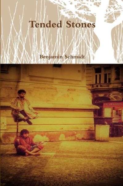 Cover for Benjamin Schmidt · Tended Stones (Book) (2017)