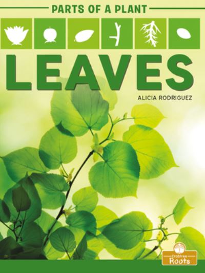 Cover for Alicia Rodriguez · Leaves (Hardcover Book) (2021)